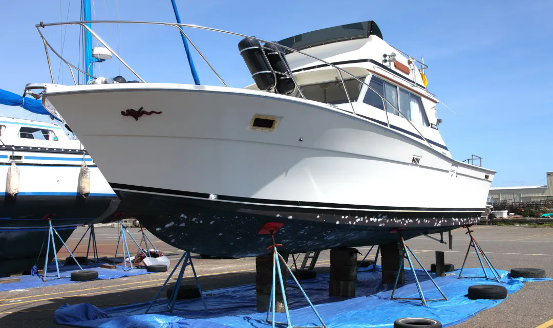 常州涂料網(wǎng)